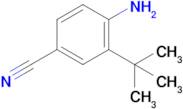 4-Amino-3-(tert-butyl)benzonitrile