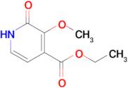 Ethyl 3-methoxy-2-oxo-1,2-dihydropyridine-4-carboxylate