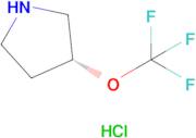 (R)-3-(Trifluoromethoxy)pyrrolidine hydrochloride