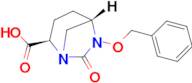 (1S,2R,5S)-6-(Benzyloxy)-7-oxo-1,6-diazabicyclo[3.2.1]octane-2-carboxylic acid