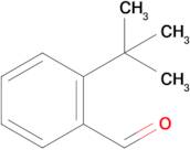 2-(tert-Butyl)benzaldehyde