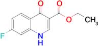 Ethyl 7-fluoro-4-oxo-1,4-dihydroquinoline-3-carboxylate