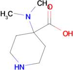 4-(Dimethylamino)piperidine-4-carboxylic acid