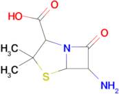 6-Amino-3,3-dimethyl-7-oxo-4-thia-1-azabicyclo[3.2.0]heptane-2-carboxylic acid