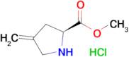 Methyl (S)-4-methylenepyrrolidine-2-carboxylate hydrochloride