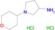 1-(Tetrahydro-2H-pyran-4-yl)pyrrolidin-3-amine dihydrochloride