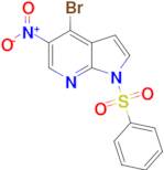 4-Bromo-5-nitro-1-(phenylsulfonyl)-1H-pyrrolo[2,3-b]pyridine