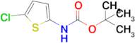 tert-Butyl (5-chlorothiophen-2-yl)carbamate