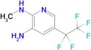 N2-Methyl-5-(perfluoroethyl)pyridine-2,3-diamine