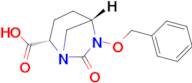 (1S,2S,5S)-6-(Benzyloxy)-7-oxo-1,6-diazabicyclo[3.2.1]octane-2-carboxylic acid