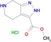 methyl 2H,4H,5H,6H,7H-pyrazolo[3,4-c]pyridine-3-carboxylate hydrochloride