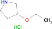 (R)-3-Ethoxypyrrolidine hydrochloride