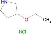 3-Ethoxypyrrolidine hydrochloride