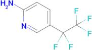 5-(Perfluoroethyl)pyridin-2-amine