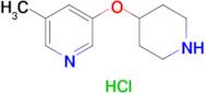 3-Methyl-5-(piperidin-4-yloxy)pyridine hydrochloride