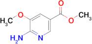 Methyl 6-amino-5-methoxynicotinate