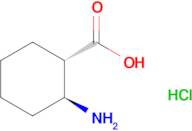 (1S,2S)-2-Aminocyclohexane-1-carboxylic acid hydrochloride