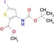 Methyl 3-((tert-butoxycarbonyl)amino)-5-iodothiophene-2-carboxylate