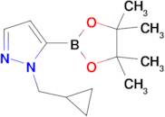 1-(Cyclopropylmethyl)-5-(4,4,5,5-tetramethyl-1,3,2-dioxaborolan-2-yl)-1H-pyrazole