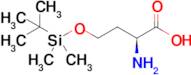 O-(tert-Butyldimethylsilyl)-L-homoserine