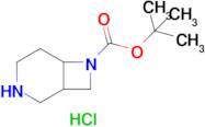 tert-Butyl 3,7-diazabicyclo[4.2.0]octane-7-carboxylate hydrochloride