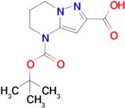 4-(tert-Butoxycarbonyl)-4,5,6,7-tetrahydropyrazolo[1,5-a]pyrimidine-2-carboxylic acid