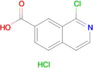 1-Chloroisoquinoline-7-carboxylic acid hydrochloride