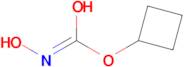 N-hydroxycyclobutoxymethanimidic acid