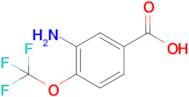 3-Amino-4-(trifluoromethoxy)benzoic acid