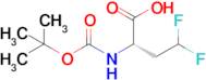 (S)-2-((tert-Butoxycarbonyl)amino)-4,4-difluorobutanoic acid