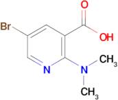 5-Bromo-2-(dimethylamino)nicotinic acid