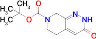 tert-Butyl 3-oxo-2,5,6,8-tetrahydropyrido[3,4-c]pyridazine-7(3H)-carboxylate