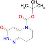 tert-Butyl 3-oxo-2,6,7,8-tetrahydropyrido[3,2-c]pyridazine-5(3H)-carboxylate