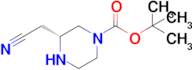 tert-Butyl (R)-3-(cyanomethyl)piperazine-1-carboxylate