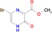 Methyl 6-bromo-3-oxo-3,4-dihydropyrazine-2-carboxylate