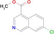 Methyl 7-chloroisoquinoline-4-carboxylate