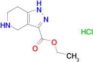 Ethyl 4,5,6,7-tetrahydro-1H-pyrazolo[4,3-c]pyridine-3-carboxylate hydrochloride