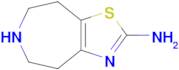 5,6,7,8-Tetrahydro-4H-thiazolo[4,5-d]azepin-2-amine