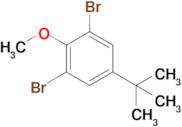 1,3-Dibromo-5-(tert-butyl)-2-methoxybenzene