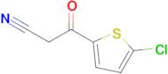 3-(5-Chlorothiophen-2-yl)-3-oxopropanenitrile