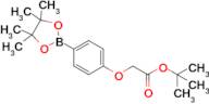 tert-Butyl 2-(4-(4,4,5,5-tetramethyl-1,3,2-dioxaborolan-2-yl)phenoxy)acetate