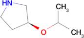 (S)-3-Isopropoxypyrrolidine