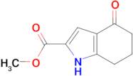 Methyl 4-oxo-4,5,6,7-tetrahydro-1H-indole-2-carboxylate