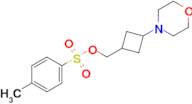 (3-Morpholinocyclobutyl)methyl 4-methylbenzenesulfonate