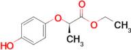 Ethyl (R)-2-(4-hydroxyphenoxy)propanoate