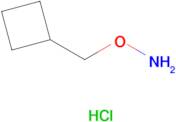 O-(Cyclobutylmethyl)hydroxylamine hydrochloride