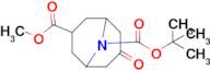 9-(tert-Butyl) 3-methyl 7-oxo-9-azabicyclo[3.3.1]nonane-3,9-dicarboxylate