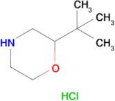 2-(tert-Butyl)morpholine hydrochloride