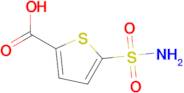 5-Sulfamoylthiophene-2-carboxylic acid