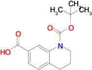 1-(tert-Butoxycarbonyl)-1,2,3,4-tetrahydroquinoline-7-carboxylic acid